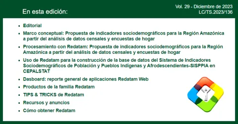 REDATAM Informa Nº 29, diciembre de 2023, ya se encuentra disponible